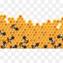 蜜蜂和蜂浆