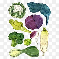 五彩蔬菜背景