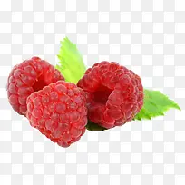 新鲜树莓免抠素材