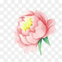 粉色水彩花朵装饰图案