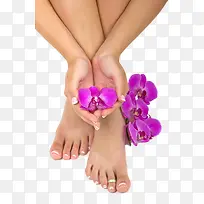 紫色的花和手脚