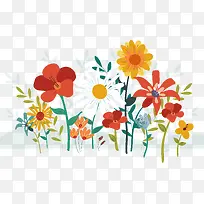 雏菊花矢量