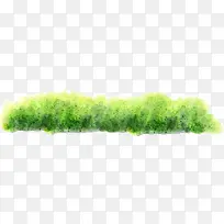 绿色彩绘草丛