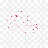 桃花花瓣    节日   鲜花