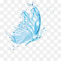 蓝色水花漂亮的蝴蝶