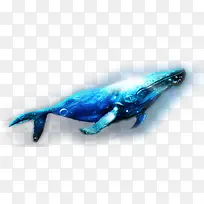 深海的鲸鱼