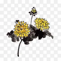 矢量菊花