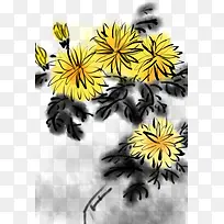 中国风水墨菊花插画素材