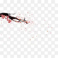 飘落梅花