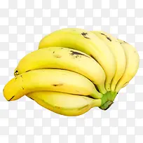 美味的香蕉免抠素材