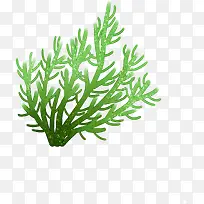 绿色植物卡通海藻效果海底