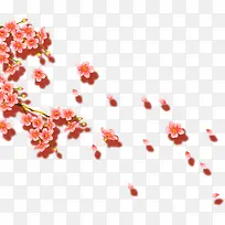 春节美丽梅花装饰