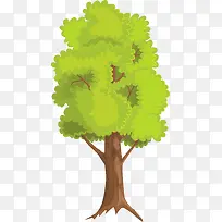 小清新绿色大树