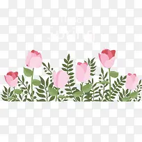 粉红玫瑰你好春天