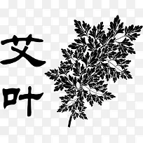 艾叶手绘黑白药材