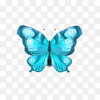 蓝色手绘的蝴蝶