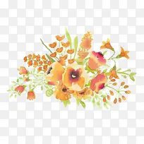 水彩橙色花朵花卉