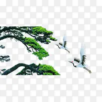 苍松仙境鹤群