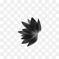绘画植物