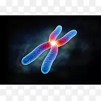 生物基因染色体dna细胞素材