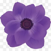 春天紫色花