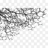 个性的缠绕的树枝