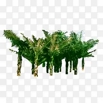 砂糖椰子2免扣素材