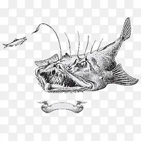 手绘魔鬼鱼