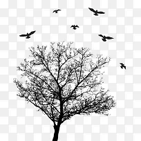 候鸟与缠绕的树枝
