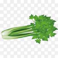 一把芹菜