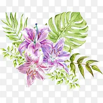 创意夏季彩铅花卉装饰图