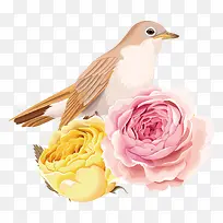 母亲节浪漫清新花朵装饰与小鸟插