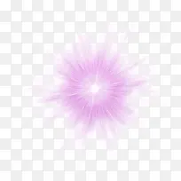 紫色荧光