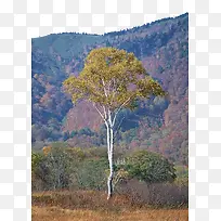 山上风景