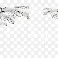 积满雪的树枝雪花