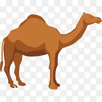 骆驼矢量图