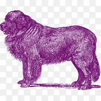 紫色的猎狗