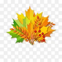 彩色秋季树叶花束矢量图