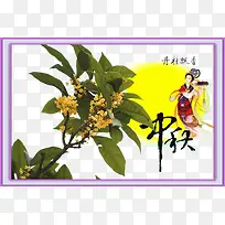 桂花盛于唐宋