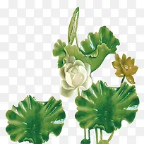 翡翠绿玉石荷花