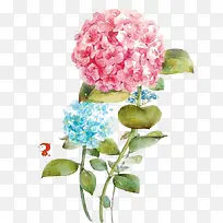 蓝花与红花