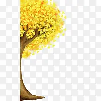 黄色银杏树