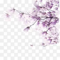 紫色清新花枝装饰图案