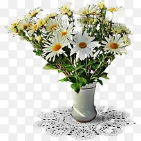 一瓶菊花