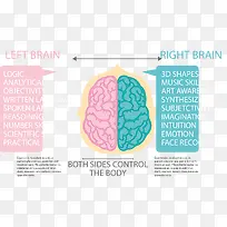 左右大脑对比图表