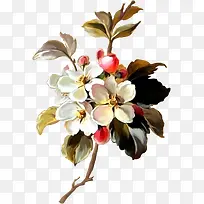 古典装饰鲜花