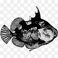 海洋鱼黑白色调矢量图