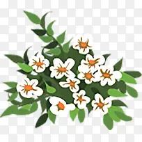 白色花