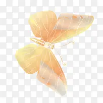 唯美金色的蝴蝶矢量素材