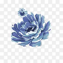 美丽的蓝莲花